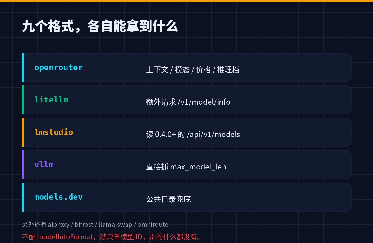 九种元数据格式能力对比
